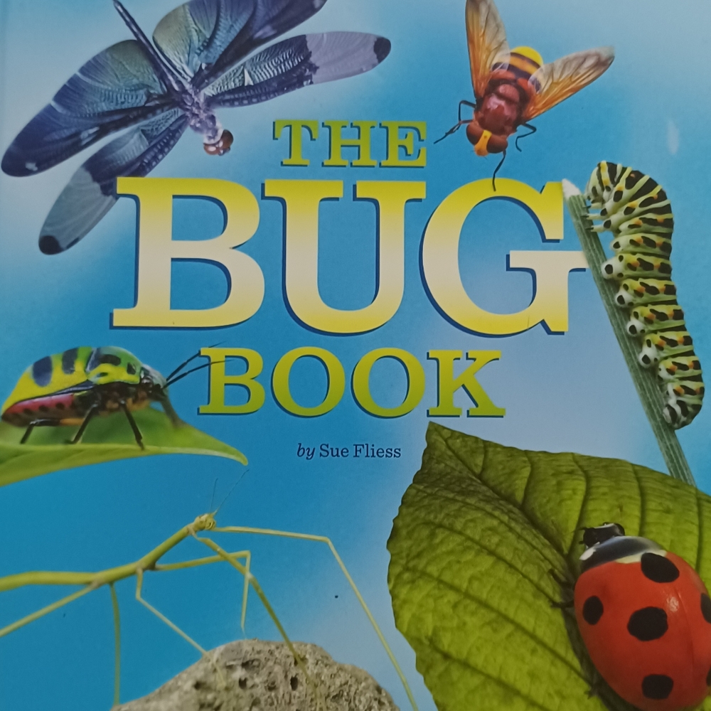 THE BUG BOOK hard cover Grosset & Dunlop